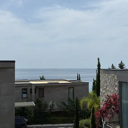Olea *