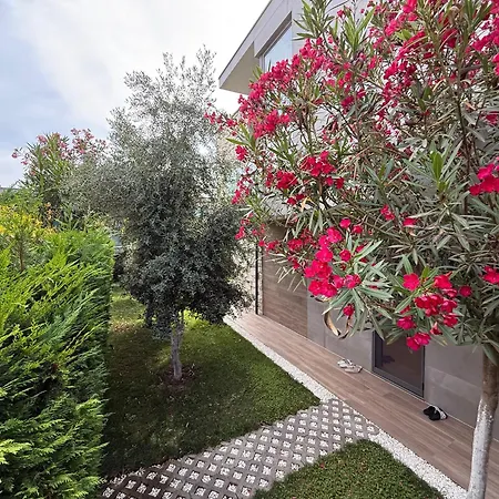 Villa Olea *